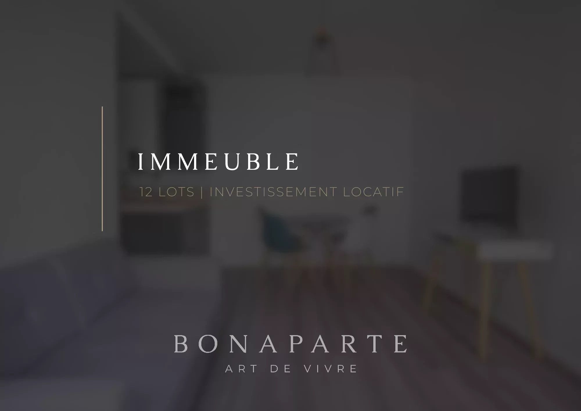 QUARTIER TRIBUNAL - IMMEUBLE 12 LOTS - 379m2